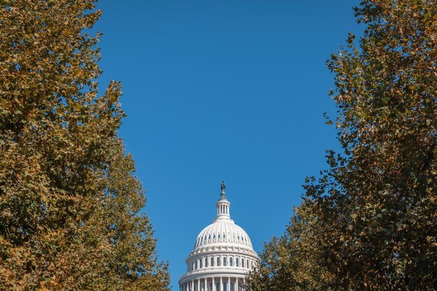 Understanding Impeachment: A Step-by-Step Guide for US Citizens