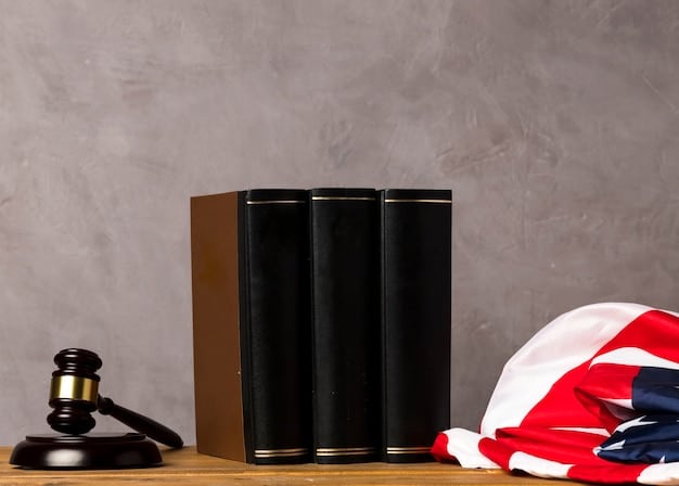 Understanding the US Legal System: A Citizen’s Guide to Rights and Processes