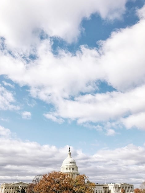 Understanding Government Grants: A Guide to State Funding Allocations
