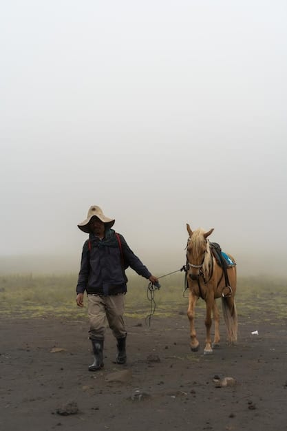 A photograph of U.S. Border Patrol agents on horseback patrolling the US-Mexico border. Include the border fence in the background. The image should emphasize the challenges of securing the border and the various methods used by law enforcement. The scene should aim for a balance between illustrating the need for robust measures and the complexities of patrolling such a vast and varied terrain. What are the debates surrounding immigration reform illustrated in this image?